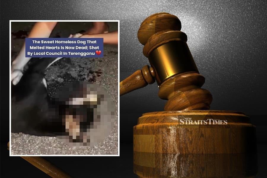 A photo of dog that died with gavel at the background.